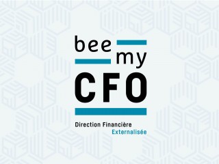 BEE MY CFO